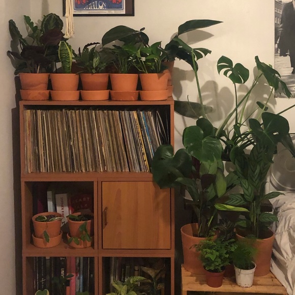 lavlaceshop